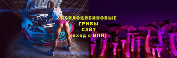 прущие грибы Абинск