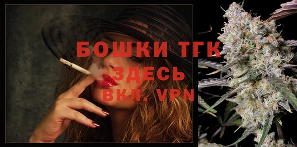 прущие грибы Абинск