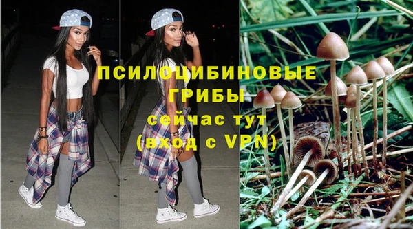 герыч Алзамай