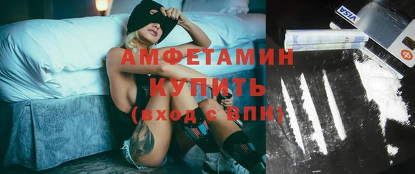 прущие грибы Абинск