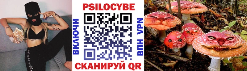наркошоп  Шумиха  Псилоцибиновые грибы прущие грибы 